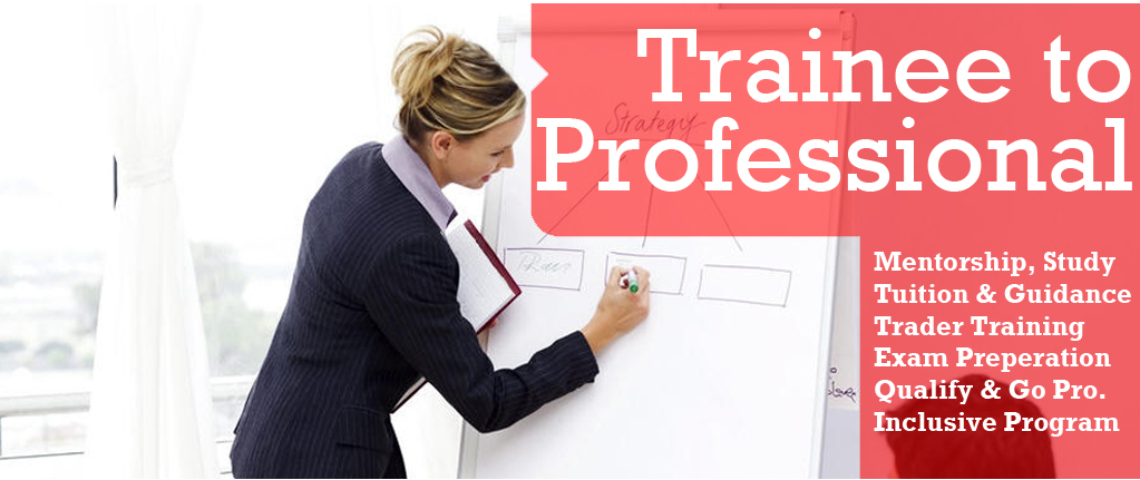 trainee trader to professional, what do i get in my course?