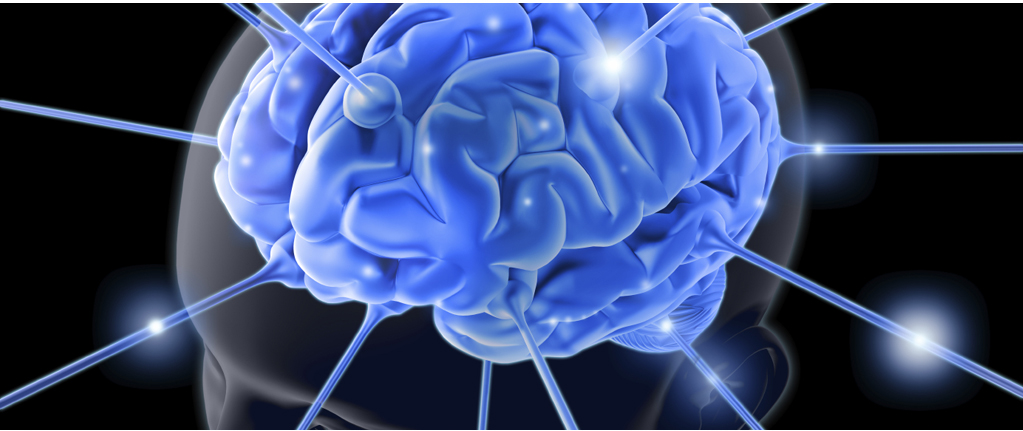 image showing the brain and its powerful receptors